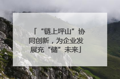 “链上坪山”协同创新，为企业发展充“储”未来