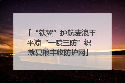 “铁翼”护航麦浪丰 平凉“一喷三防”织就夏粮丰收防护网