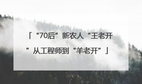 “70后”新农人“王老开”从工程师到“羊老开”
