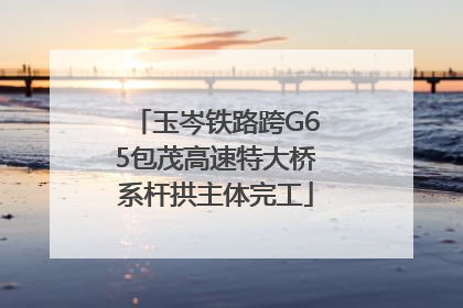 玉岑铁路跨G65包茂高速特大桥系杆拱主体完工