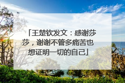 王楚钦发文：感谢莎莎，谢谢不管多痛苦也想证明一切的自己