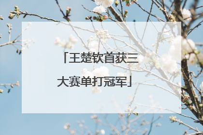 王楚钦首获三大赛单打冠军