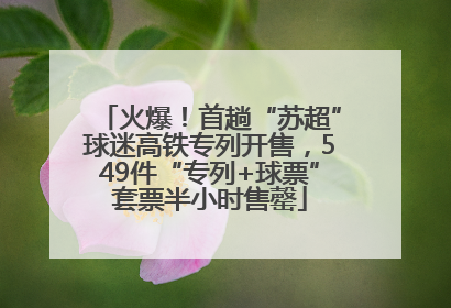 火爆！首趟“苏超”球迷高铁专列开售，549件“专列+球票”套票半小时售罄