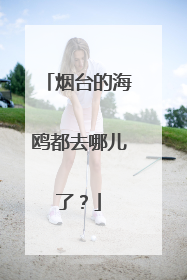 烟台的海鸥都去哪儿了？