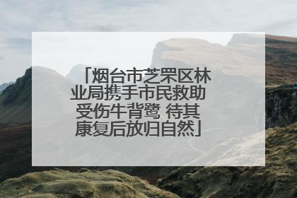 烟台市芝罘区林业局携手市民救助受伤牛背鹭 待其康复后放归自然
