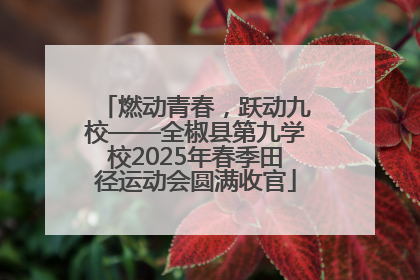 燃动青春，跃动九校——全椒县第九学校2025年春季田径运动会圆满收官