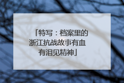 特写：档案里的浙江抗战故事有血有泪见精神