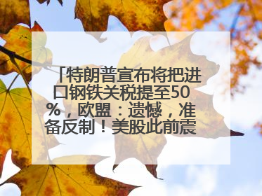特朗普宣布将把进口钢铁关税提至50%，欧盟：遗憾，准备反制！美股此前震荡，机构：美元正进入熊市