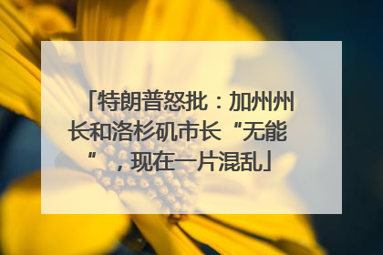 特朗普怒批：加州州长和洛杉矶市长“无能”，现在一片混乱