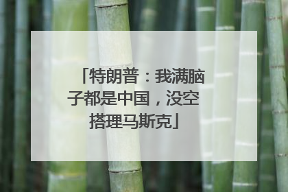 特朗普：我满脑子都是中国，没空搭理马斯克