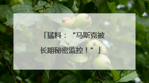 猛料：“马斯克被长期秘密监控！”