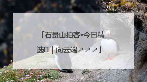 石景山拍客•今日精选⑳｜向云端↗↗↗