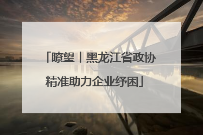 瞭望丨黑龙江省政协精准助力企业纾困