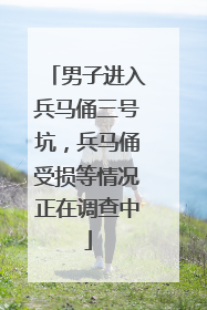 男子进入兵马俑三号坑，兵马俑受损等情况正在调查中