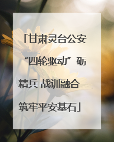 甘肃灵台公安“四轮驱动”砺精兵 战训融合筑牢平安基石