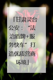 甘肃灵台公安：“法治盾牌+服务快车”打造优质营商环境