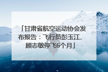 甘肃省航空运动协会发布报告：飞行员彭玉江、顾志敏停飞6个月