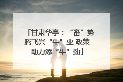 甘肃华亭：“畜”势腾飞兴“牛”业 政策助力添“牛”劲