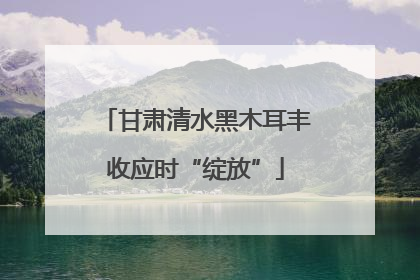 甘肃清水黑木耳丰收应时“绽放”