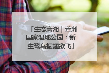 生态潇湘｜萱洲国家湿地公园：新生鹭鸟振翅欲飞