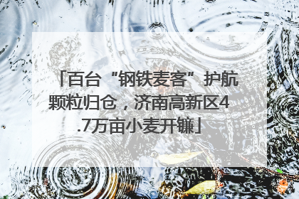 百台“钢铁麦客”护航颗粒归仓，济南高新区4.7万亩小麦开镰