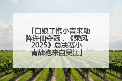 白娘子携小青来助阵许仙夺冠，《乘风2025》总决赛小青战袍来自吴江