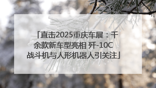 直击2025重庆车展：千余款新车型亮相 歼-10C战斗机与人形机器人引关注