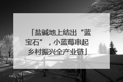 盐碱地上结出“蓝宝石”，小蓝莓串起乡村振兴全产业链