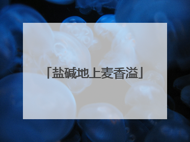 盐碱地上麦香溢