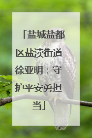盐城盐都区盐渎街道徐亚明：守护平安勇担当
