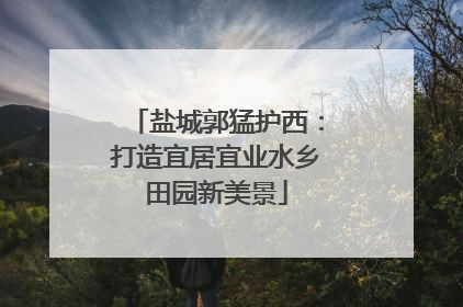 盐城郭猛护西：打造宜居宜业水乡田园新美景