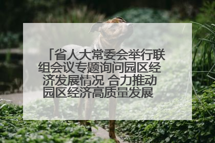 省人大常委会举行联组会议专题询问园区经济发展情况 合力推动园区经济高质量发展 王宁主持会议并讲话 王予波带队到会应询