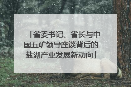 省委书记、省长与中国五矿领导座谈背后的盐湖产业发展新动向