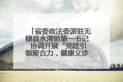 省委政法委派驻无棣县水湾镇第一书记 协调开展“党建引领聚合力，健康义诊惠乡亲”义诊活动