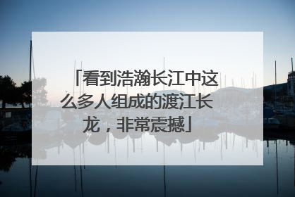 看到浩瀚长江中这么多人组成的渡江长龙，非常震撼