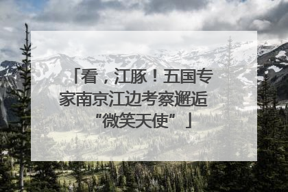看，江豚！五国专家南京江边考察邂逅“微笑天使”