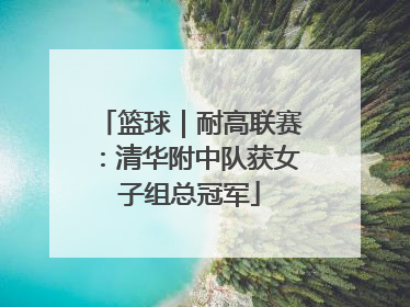 篮球｜耐高联赛：清华附中队获女子组总冠军