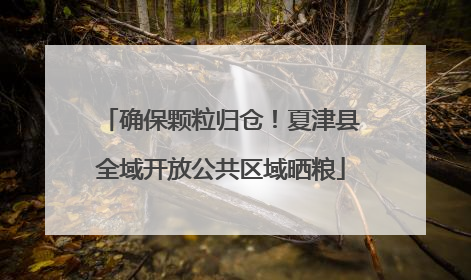 确保颗粒归仓！夏津县全域开放公共区域晒粮