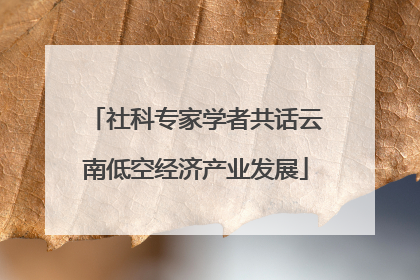 社科专家学者共话云南低空经济产业发展