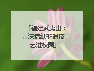 福建武夷山：古法造纸非遗技艺进校园