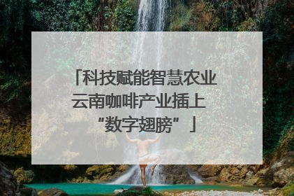 科技赋能智慧农业 云南咖啡产业插上“数字翅膀”