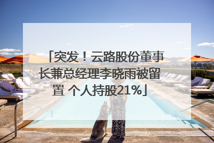 突发！云路股份董事长兼总经理李晓雨被留置 个人持股21%