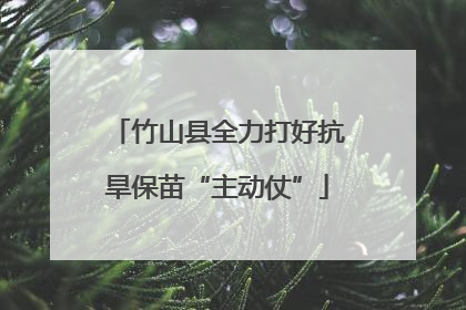 竹山县全力打好抗旱保苗“主动仗”