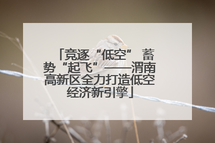 竞逐“低空” 蓄势“起飞”——渭南高新区全力打造低空经济新引擎