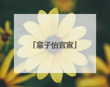 章子怡官宣