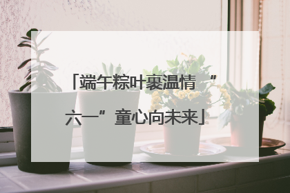 端午粽叶裹温情 “六一”童心向未来