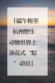 端午将至 杭州野生动物世界上演花式“粽”动员