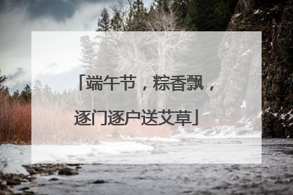 端午节，粽香飘，逐门逐户送艾草