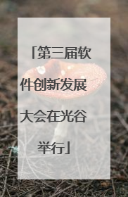 第三届软件创新发展大会在光谷举行