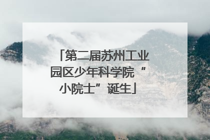 第二届苏州工业园区少年科学院“小院士”诞生